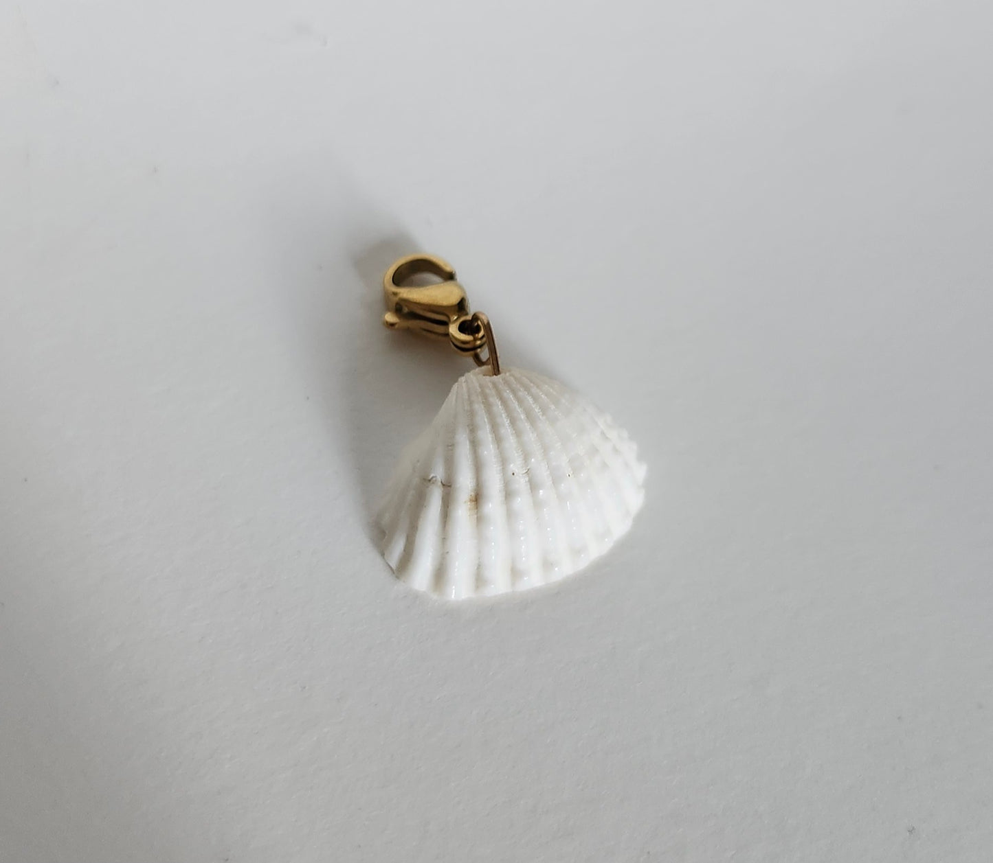 Charms coquillage blanc