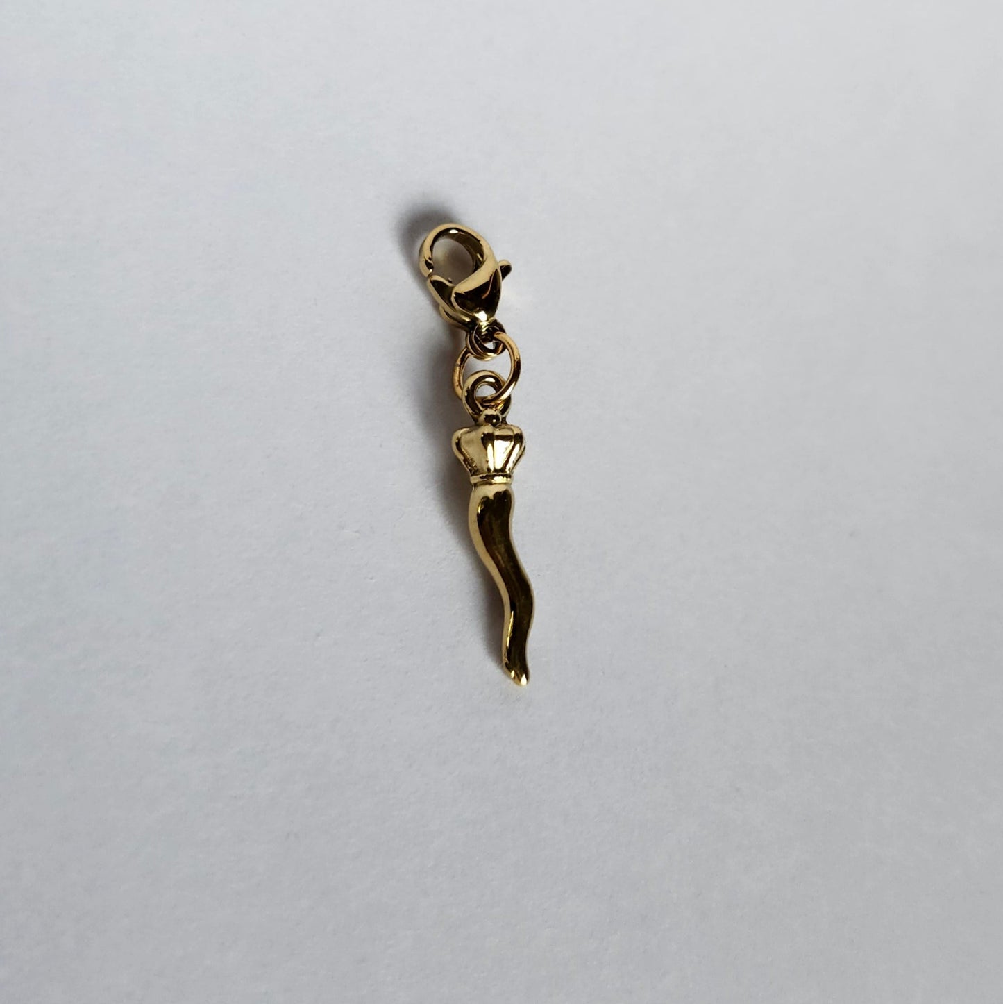 Charms Corne italienne