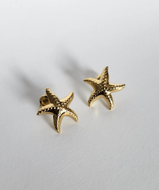 Boucle d'oreille étoile de mer