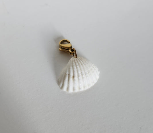 Charms coquillage blanc