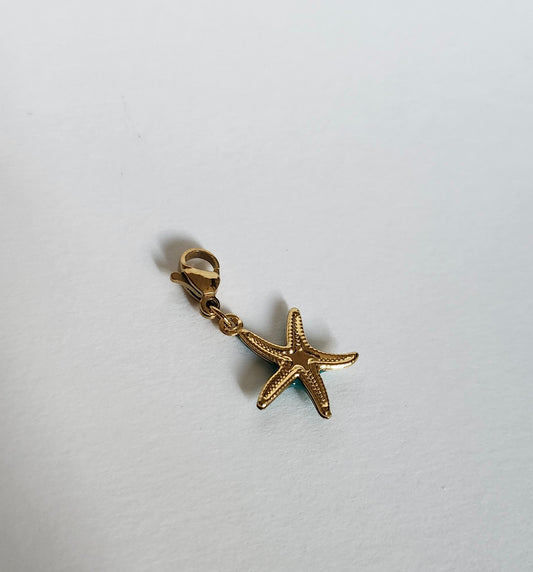 Charms étoile vers et doré