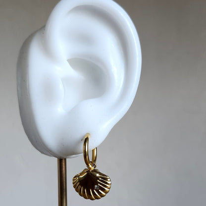 Boucle d'oreille Coquillage doré