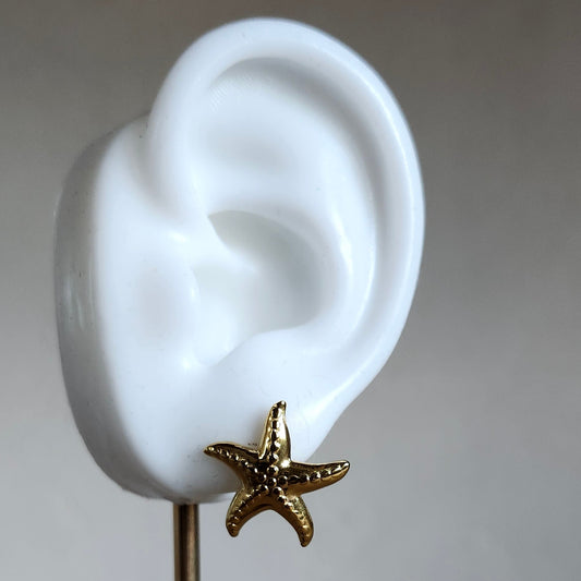 Boucle d'oreille étoile de mer